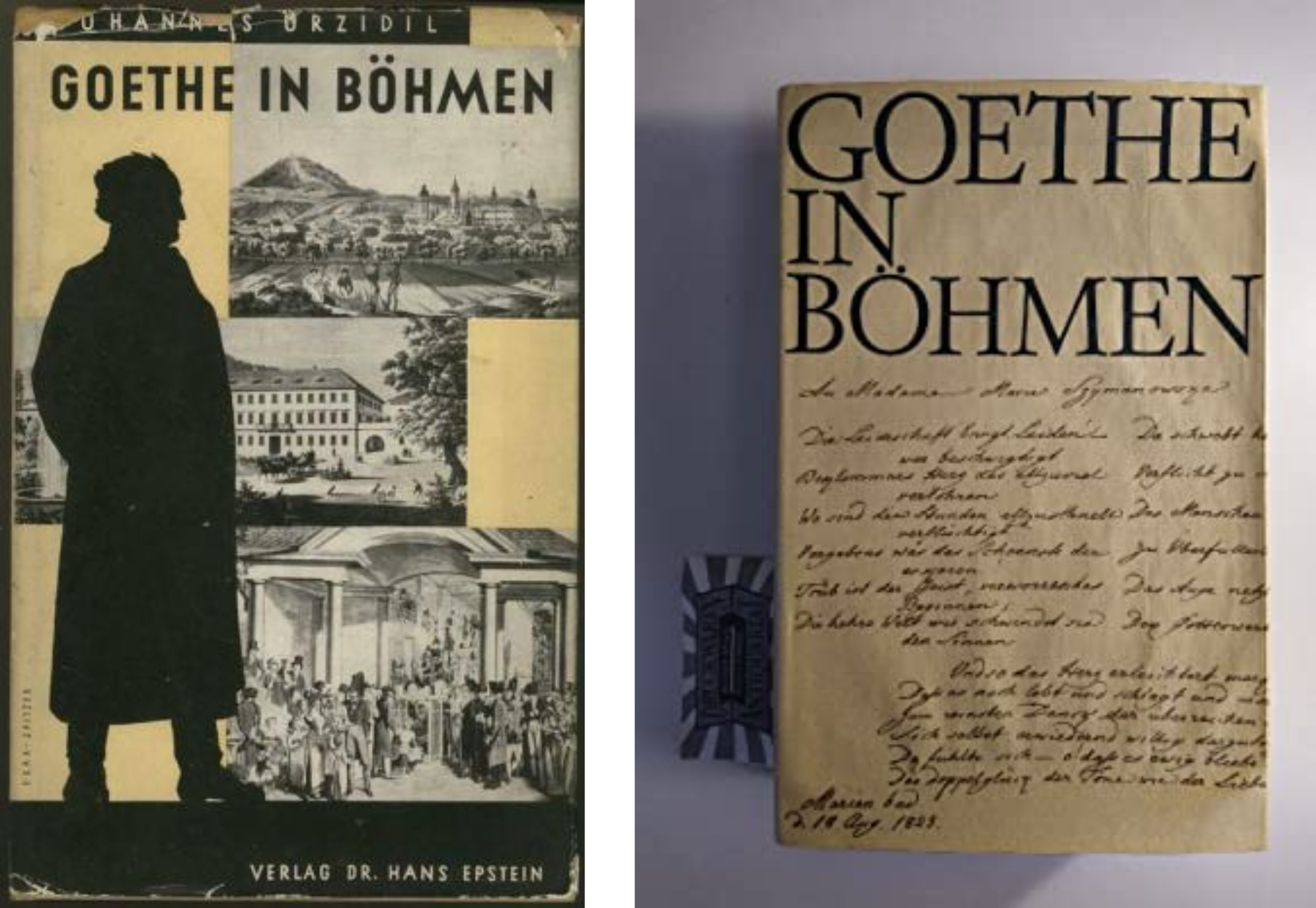 Foto Goethe in Boehmen